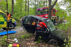 Mezi obcemi Doubravčice a Vrátkov osobní automobil bočně narazil do stromu