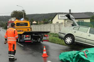 Srážku s autem u obce Tovéř kůň nepřežil, jezdkyně se zranila