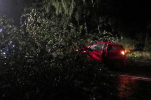 Stromy padají nejen na jihu Čech. Spadl před auto i na Zlínsku