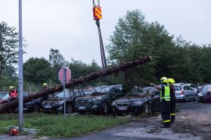 V Mošnově poškodil padlý letitý strom několik zaparkovaných aut (VIDEO)