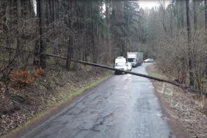 Následky vichru a vydatných srážek řešili hasiči i na Olomoucku