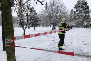 Praha pod sněhem a někde i pod spadanými stromy. Hasiči dřeli až do rána