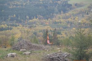Paraglidista přistál na stromě, hasiči ho ve výšce nenechali