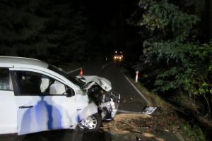 Po nárazu do stromu skončilo osobní vozidlo zpět na komunikaci