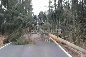 Pořádně vyvětraná Vysočina. Ničivý vítr lámal stromy, trhal i střechu