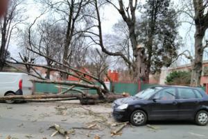 Pondělní silný vítr zaměstnával hasiče od rána do večera