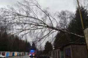 Nebylo v Čechách kraje, kde by trochu nefoukalo. V Karlovarském taky.