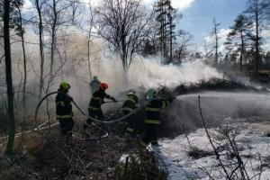 Pět jednotek hasičů na skládce. U Slatiňan vydatně hořel bioodpad