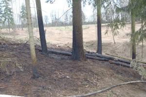 Sobota plná sluníčka i požárů trávy a lesního porostu na Olomoucku
