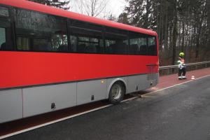 Pohodovou jízdu ukončila část stromu. Spadla před jedoucí autobus