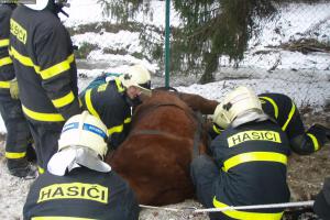 Hasiči řešení na koni nenechali, na nohy mu raději pomohli sami