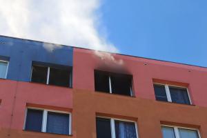 Nedbalost málem připravila o život psa a kočku. Hořela kuchyně