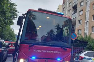HZS Libereckého kraje k nepravdivým informacím uveřejněných na webovém portále Novinky.cz