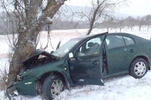 Štěstí pro tři. Náraz do stromu zdemoloval předek vozidla, posádka nezraněna