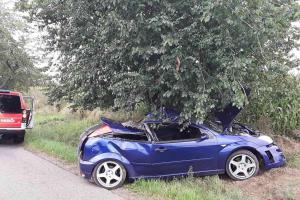 Dva zranění po havárii osobního vozidla u Herálce. Odnesl to i strom