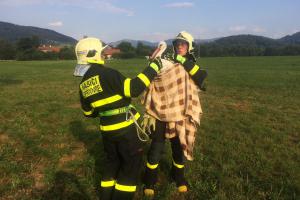 Hasiči ve Vlčovicích zachránili čápa, přistál na příliš malém prostoru