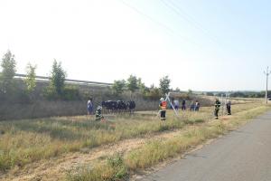 Hasiči i jako honáci dobytka. Ten se po nehodě rozutekl, mířil na dálnici