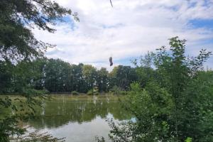Hasiči zachraňovali na Opavsku puštíka, „uloveného“ rybáři