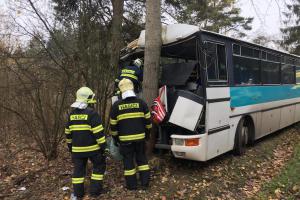 Autobus měl problém. Havaroval do příkopu a zastavil se o strom