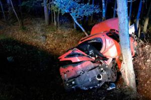 Tragicky skončil náraz vozu do stromu, auto začalo hořet