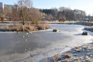 Hasiči zachránili malého chlapce ze zamrzlého rybníku. Probořil se i hasič