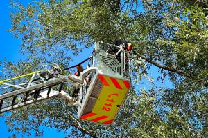 Hasiči v Ostravici zachránili paraglidistku, uvázla na stromě