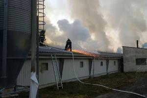 Náročná noc pro hasiče i kuřata. Požár drůbežárny na Holicku