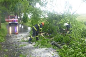 Moravskoslezští hasiči vyjížděli kvůli večerním bouřkám, vše bez zranění