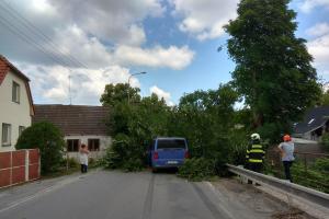 Nefoukalo, nepršelo. Přesto spadl strom a rovnou na projíždějící auto