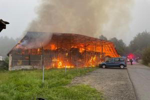 Požár seníku zabil tele, v kravíně byla stovka dobytka (VIDEO)