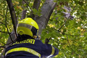 Moravskoslezští hasiči zachraňovali exotickou sovu