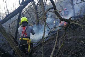 Středočeští hasiči neměli klidnou službu ani na Velký pátek
