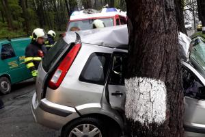 Marná snaha hasičů i záchranářů. Nehoda u Hrdějovic měla tragické následky