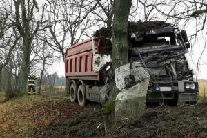 Řidič s nákladním autem narazil u Bystrého do stromu. Skončil v nemocnici