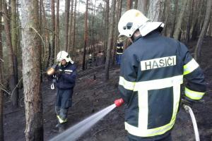 Požár paseky a lesa na Berounsku likvidovalo sedm jednotek
