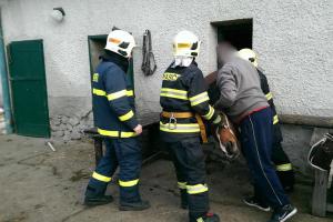 Vyhlížel už asi jaro. Kůň si zaklínil hlavu v okně, pomohli mu hasiči