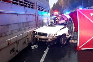 Při tragické nehodě nedaleko Jesenice na Rakovnicku zemřeli dva lidé