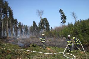 Nedělní požáry lesa zaměstnávaly hasiče nejen ve Zlínském kraji