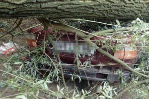 Padlý strom v Ostravě poškodil několik aut, hasiči k odstranění využili Bisona