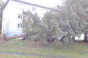 Hasiči na Plzeňsku vyjížděli k popadaným stromům a poničeným střechám