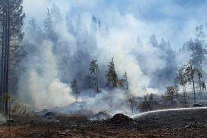 Požár lesa v katastru obce Chřenovice. Škoda žádná, příčina se zatím neví
