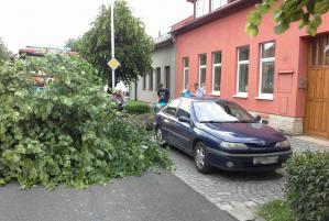 Chtěli jsme déšť, tak ho máme. Ranní bouřky porazily 16 stromů