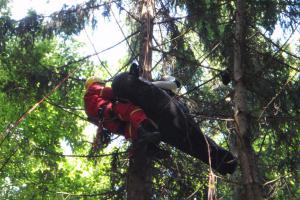Paraglidista přistál na stromě, vysvobodili ho až hasiči