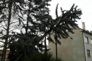 Fičák na Pardubicku. Spadlé stromy, utržené střechy i požár auta