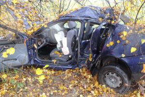 U Rybné nad Zdobnicí narazilo auto do stromu. Řidič má problém