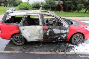 Zatracená myš! Překousala kabeláž, auto pak dočista shořelo