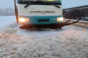 Srážka autobusů s koňmi