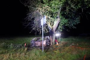 Auto narazilo do stromu. Vyšlehly plameny a osoba uvnitř uhořela