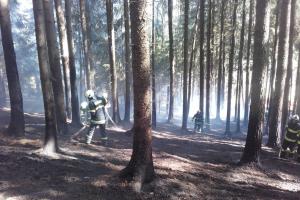 Zelený čtvrtek značně potrápil středočeské hasiče. Hořelo, kde se dalo