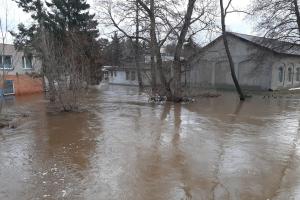 Vysočina: Od půlnoci hasiči zasahovali u více než 120 událostí